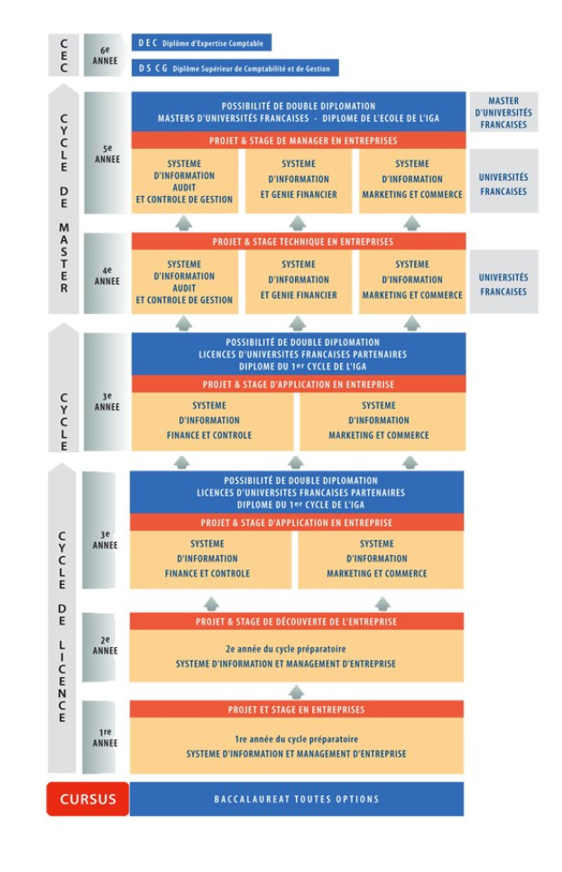 Diagramm, das die organisatorische Struktur eines Unternehmens mit Stufen des Geschäfts growths zeigt.