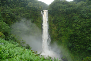Ein Wasserfall inmitten einer üppigen, bewaldeten Landschaft.