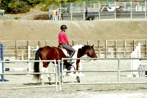Eine Person in rotem Kleid, Helm und langen Stiefeln sitzt auf einem Pferd in der Nähe eines Zauns, während eine andere Person daneben steht, ein Pferd in einem Stall und Bäume im Hintergrund zu sehen sind.