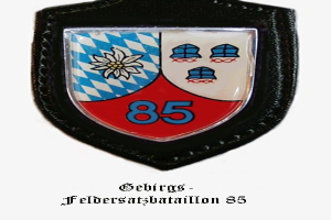 Ein rundes Abzeichen mit der Nummer 85 und deutscher Beschriftung unten, das das Logo der bayerischen Fußballmannschaft darstellt.