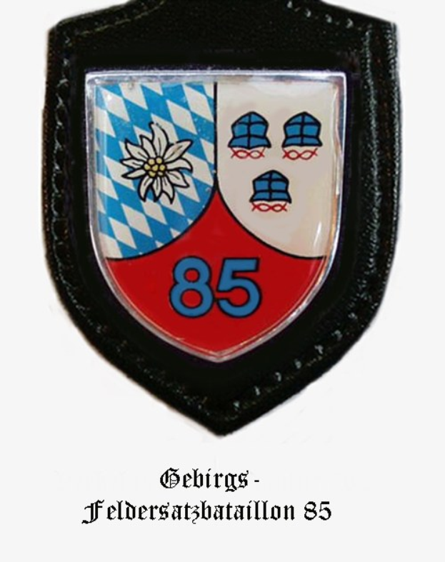 Ein rundes Abzeichen mit der Nummer 85 und deutscher Beschriftung unten, das das Logo der bayerischen Fußballmannschaft darstellt.