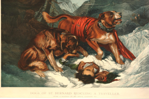 Zwei Bernhardiner-Hunde stehen über einer Person, die im Schnee liegt, mit Hügeln im Hintergrund und Text unten.