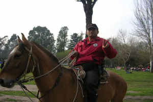 Eine Person, die ein Pferd in einem grasigen Bereich mit Bäumen und anderen Menschen im Hintergrund reitet.
