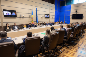 Eine große Gruppe von Menschen, die um einen langen Tisch mit Laptops, Mikrofonen und Papieren sitzen und an einer Sitzung des Europäischen Rates für Menschenrechte teilnehmen, mit drei Flaggen, zwei Fernsehgeräten und Deckenleuchten im Hintergrund.