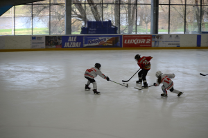 Gruppe von Menschen, die Eishockey auf einer Indoor-Eisfläche spielen, mit Helmen und Schlittschuhen und einem Hockey-Schläger in der Hand, mit Bannern an der Wand und Bäumen im Hintergrund.