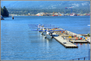 Flugzeuge schweben auf Wasser mit Bäumen und Gebäuden im Hintergrund.
