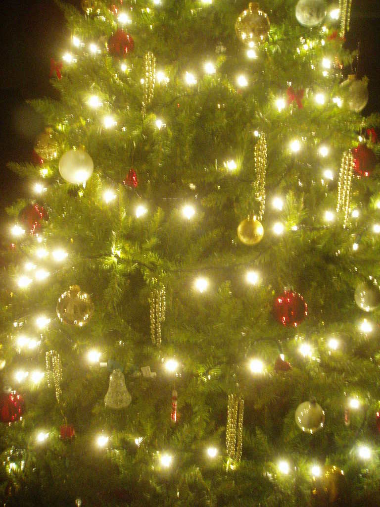 Ein Weihnachtsbaum mit Lichtern, Kugeln und verschiedenen Schmuck.