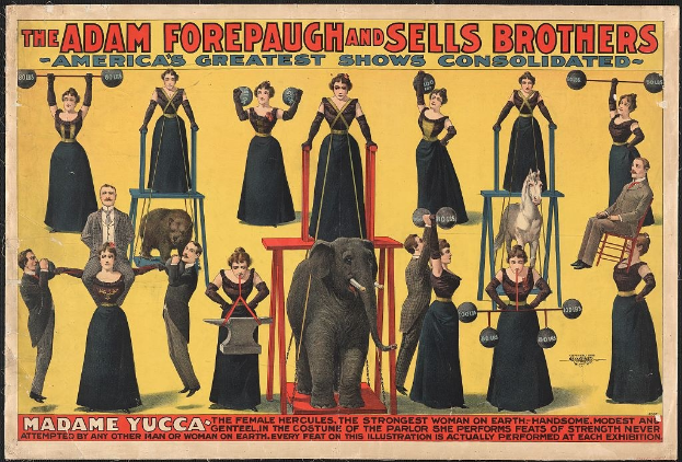 Plakat für die Adam Forepaugh und Sells Brothers' Consolidated Shows mit Performern auf Hockern und einem Elefanten in der Mitte sowie Werbetext.