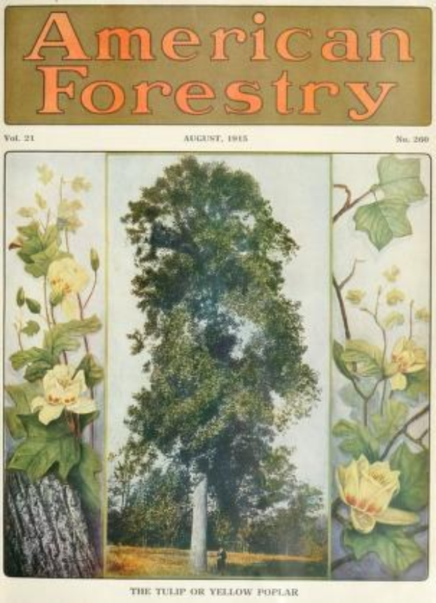 Titelbild der *American Forestry Magazine*, August 1915, mit farbigen Illustrationen von Bäumen und Blumen.