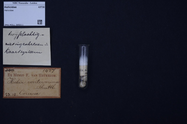 Ein kleines Glasfläschchen mit einer kleinen Menge Flüssigkeit steht auf einer schwarzen Oberfläche neben zwei Papieren mit Text und einem Barcode, in Zusammenhang mit dem Medikament Helicalide.