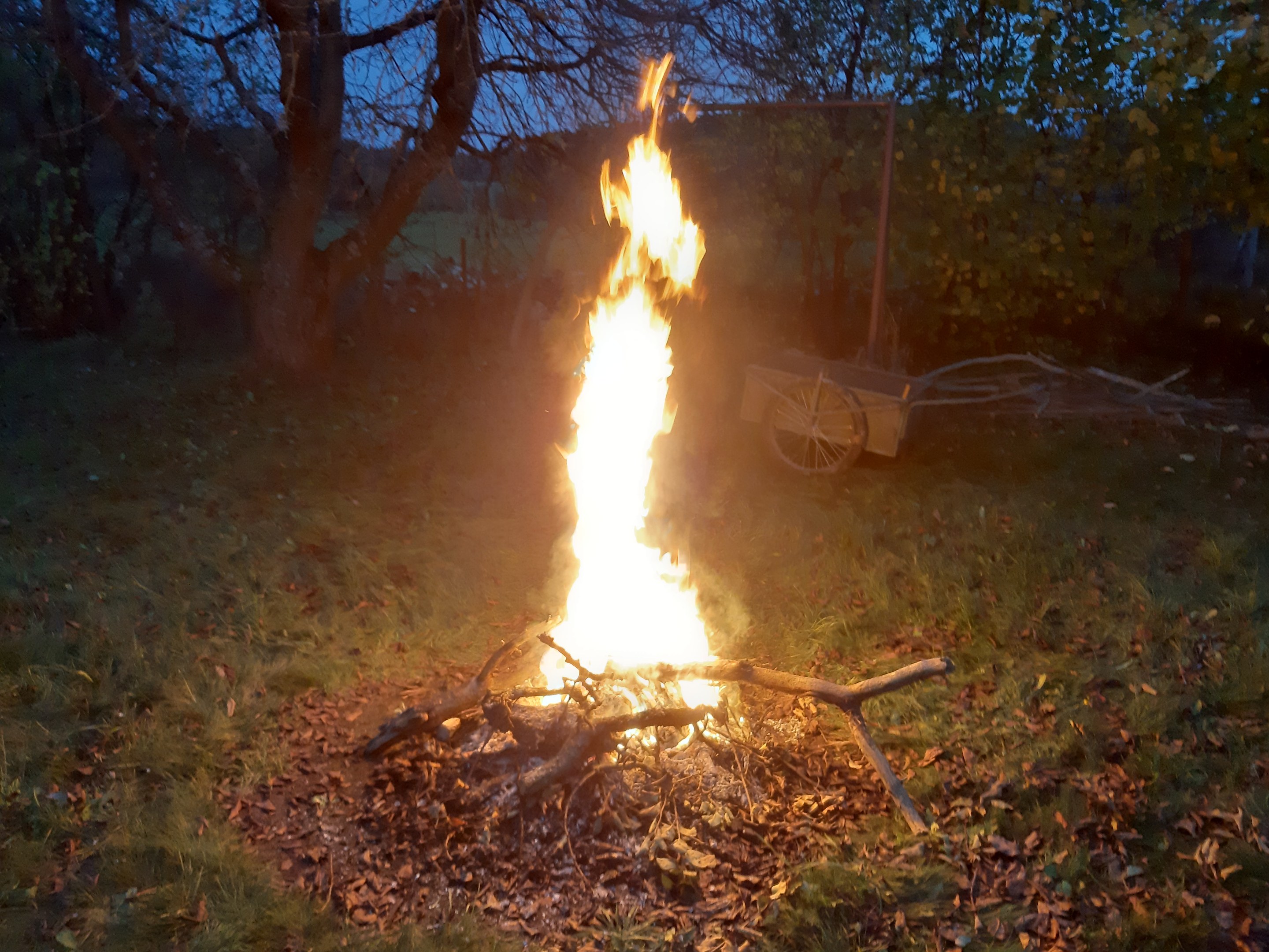 Feuer in einer nächtlichen Grasfläche, umgeben von trockenen Blättern und Holzstöcken, mit Bäumen und einem Wagen im Hintergrund und dem sichtbaren Himmel.