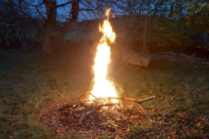 Feuer in einer nächtlichen Grasfläche, umgeben von trockenen Blättern und Holzstöcken, mit Bäumen und einem Wagen im Hintergrund und dem sichtbaren Himmel.