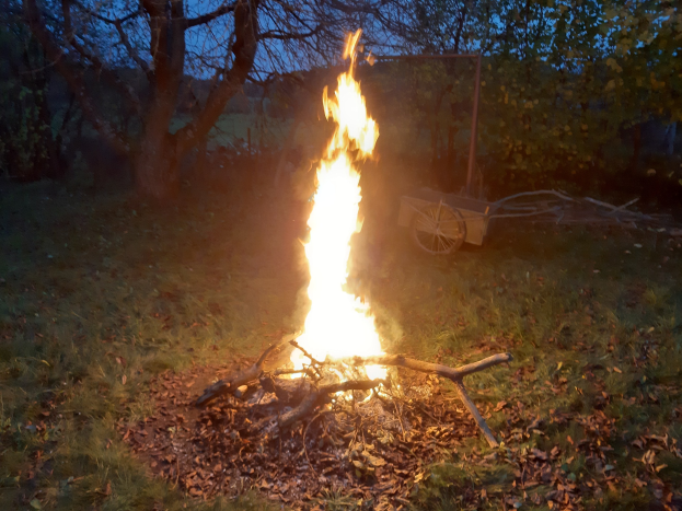 Feuer in einer nächtlichen Grasfläche, umgeben von trockenen Blättern und Holzstöcken, mit Bäumen und einem Wagen im Hintergrund und dem sichtbaren Himmel.